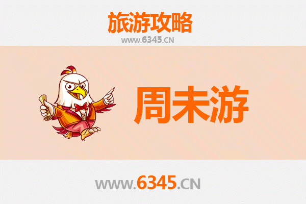 咸阳永寿周末游攻略：邂逅槐林古韵，品味田园慢生活